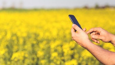 Photo of मोबाइल ऐप से किसान अपने मोबाइल पर गेहूँ क्रय केन्द्रों की लोकेशन ज्ञात कर सकते हैं
