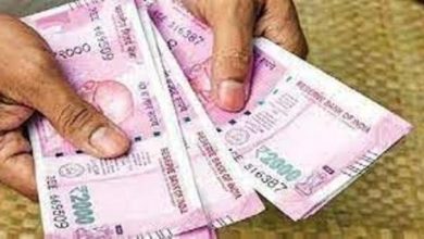Photo of किसानों के बैंक खातों में सीधे किया गया 9034.248 करोड़ रूपये का भुगतान