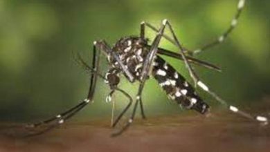 Photo of डेंगू एवं चिकनगुनिया के लिए जो सावधानी बरती जा रही है उसी तरह इसके लिए भी सावधानी बरती जाय: अमित मोहन प्रसाद