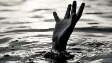 Photo of अलीपुर में अमावस्या पर नहाने आए युवक की हुई डूबने से मौत, शव की तलाश जारी