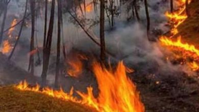 Photo of उत्तराखंड में 13 जगह लगी जंगलों में आग, 14 हेक्टेयर वन क्षेत्र प्रभावित