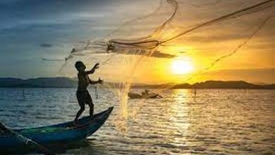 Photo of योजनाओं से गरीब मछुआ समुदाय के पट्टेधारकों के जीवन स्तर में सुधार के साथ-साथ रोजगार के अवसर सृजित होंगे: अपर मुख्य सचिव डा0 रजनीश दुबे
