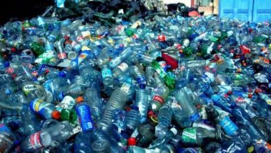 Photo of प्रदेश में प्रतिबंधित सिंगल यूज प्लास्टिक के उत्पादकों और बड़े उपभोक्ताओं के खिलाफ होगी कार्रवाई