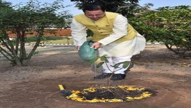 Photo of मुख्यमंत्री श्री धामी ने राजकीय वृक्ष बुरांश के पौधे का रोपण किया