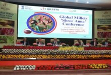 Photo of एफएसएसएआई ने दो दिवसीय वैश्विक पोषक अनाज (श्री अन्न) सम्मेलन के अवसर पर चिंतन बैठक सत्र का आयोजन किया