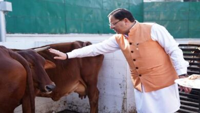Photo of मुख्यमंत्री श्री पुष्कर सिंह धामी ने गोवर्धन पूजा के अवसर पर मुख्यमंत्री आवास में गायों की पूजा की