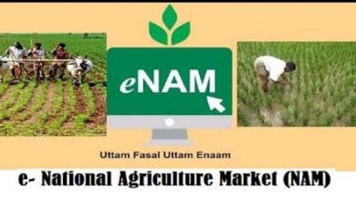 Photo of National Agriculture Market (e-NAM) is expanding to ease farmers