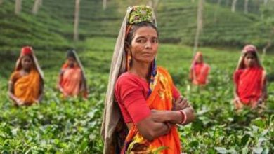 Photo of भारतीय कृषि को आत्मनिर्भर बनाने में महिला किसानों का योगदान महत्वपूर्ण है!: पुरुषोत्तम रूपाला