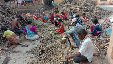 Photo of महाराष्ट्र में वन धन केंद्र : आजीविका और जीवन को बदलने में सहायक सिद्ध हो रहे हैं