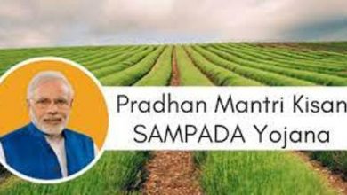 Photo of प्रदेश के किसानों की उपज को प्रसंस्कृत कर अधिक लाभ दिलाने का प्रबन्धन है, प्रधानमंत्री किसान सम्पदा योजना
