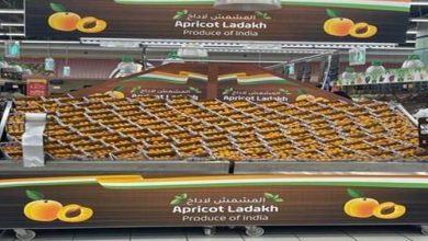 Photo of कृषि उत्पादों के निर्यात को बढ़ावा देने के लिए, लद्दाख खुबानी की पहली खेप दुबई को निर्यात की गई