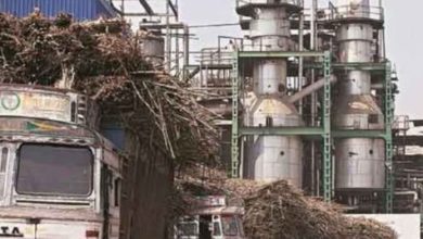 Photo of UP Govt to increase capacity of sugar mills to benefit cane growers