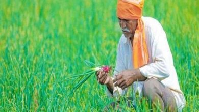 Photo of PM किसान मानधन से इसलिए नहीं जुड़ रहे किसान, संसदीय समिति ने बताई यह बड़ी वजह