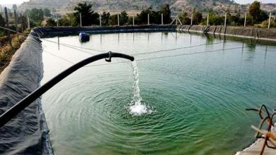 Photo of भूगर्भ जल में बढ़ोत्तरी, सिंचाई के लिए उपयोगी सिद्ध हुई है ‘‘खेत तालाब योजना‘‘