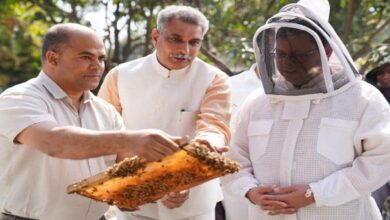 Photo of राष्ट्रीय मधुमक्खी बोर्ड के सदस्य अजय सैनी ने मौन पालन के सम्बन्ध में सीएम को जानकारी दी