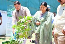 Photo of एक पेड़ मां के नाम अभियान के अंतर्गत पौधारोपण करते हुएः सीएम