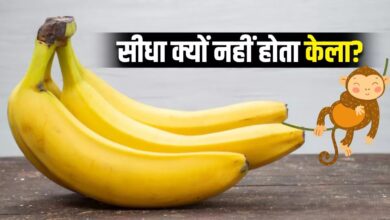 Photo of क्या आपके दिमाग में कभी आया यह ख्याल… हमेशा टेढ़ा ही क्यों होता है 